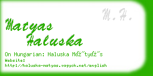 matyas haluska business card